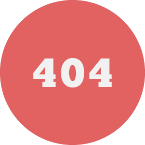 بینش 404